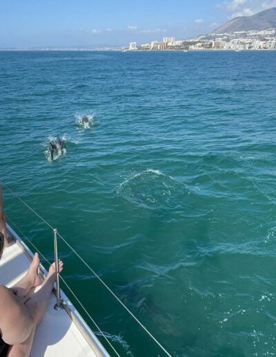 Personas disfrutando de un paseo en barco y del avistamiento de delfines en Benalmádena