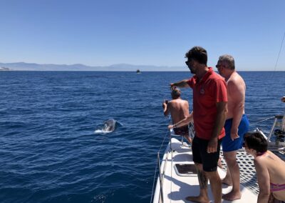 Enjoy dolphin watching from a catamaran in Benalmádena, a magical experience at sea