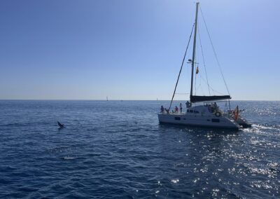 Enjoy a catamaran boat ride in Benalmádena, Málaga